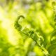 post traumatic growth, think it out, iain price, mark evans, coaching, thought leadership, neuroscience